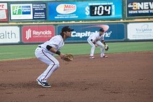 flyingsquirrels_ErinEdgerton-2 (1)