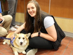 CassieThePembrokeWelshCorgi