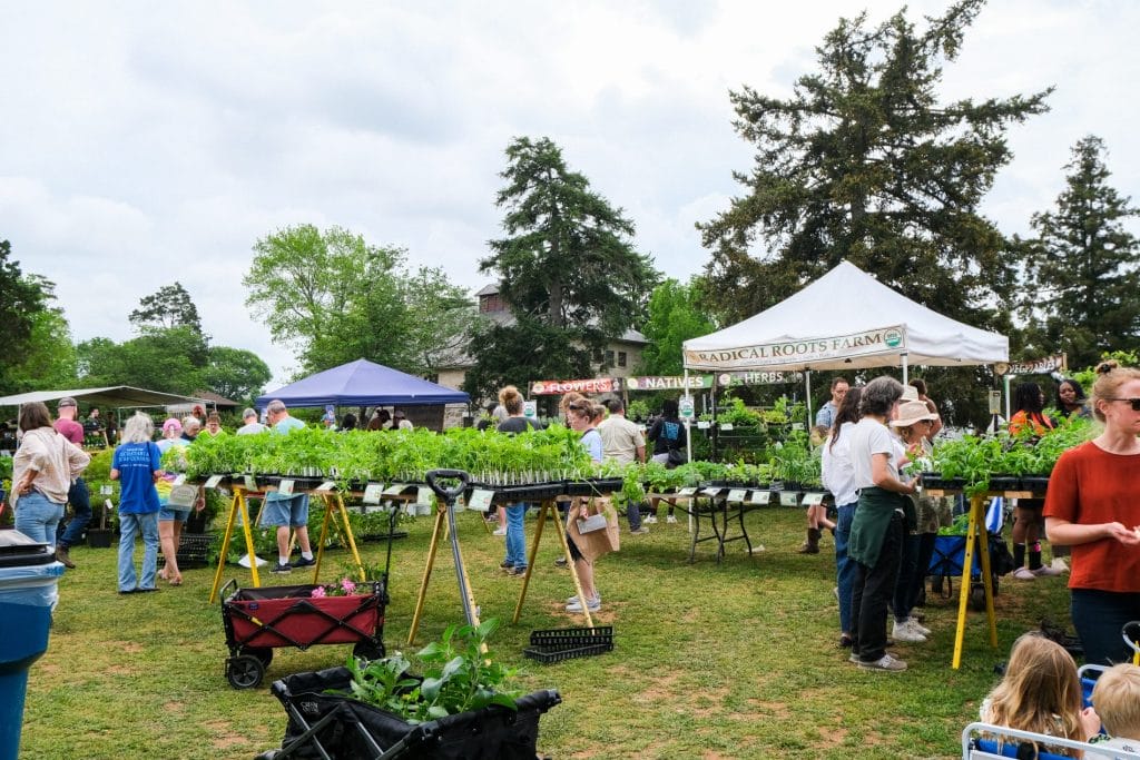 Herbs Galore sprouts community and togetherness
